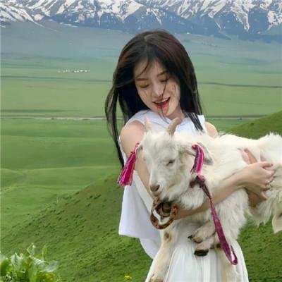 太空狗之月球大冒险